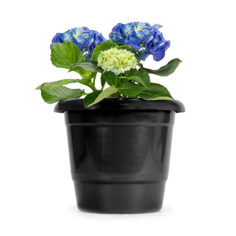 Jardinagem