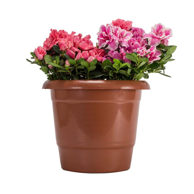 Jardinagem
